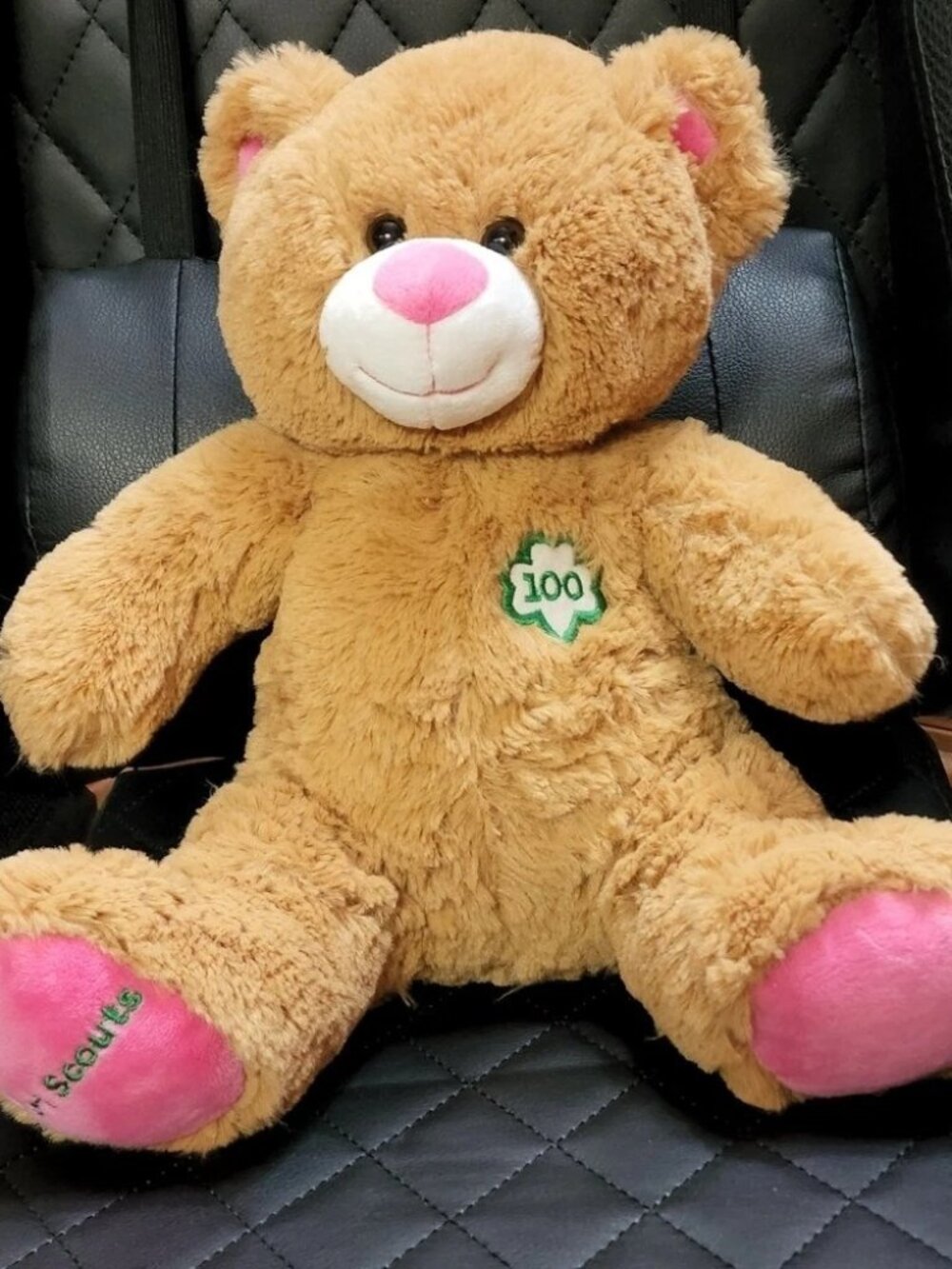 Build-A-Bear Workshop GIRL SCOUT Trifold Cookie Teddy Bear 100 Anniversary